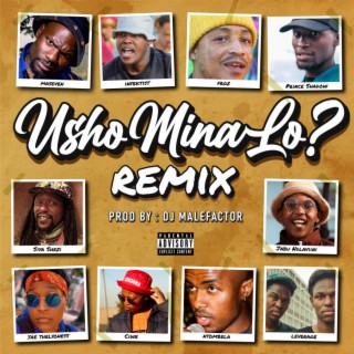 Usho Mina Lo (Remix)