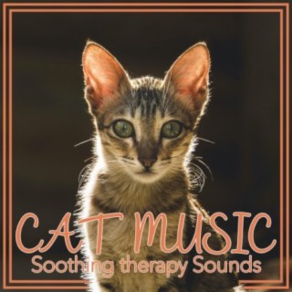 Cat Music Soothing Therapy Sounds