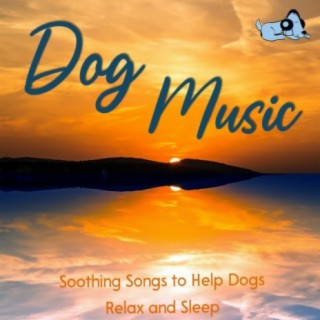 Dog Music: Soothing Songs to Help Dogs Relax and Sleep