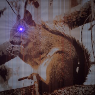 Synthetic Squirrel