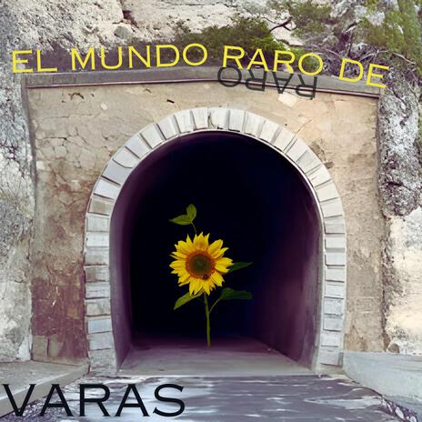 El mundo raro de Varas | Boomplay Music