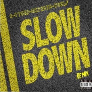 SLOW DOWN REMIX (feat. Yusulf Shaheed, Big Tyger & Mitraya) [Remix]