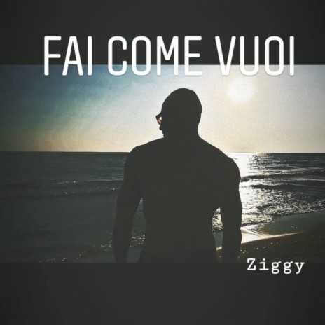 Fai Come Vuoi (album version)