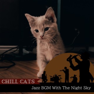 Jazz BGM With The Night Sky
