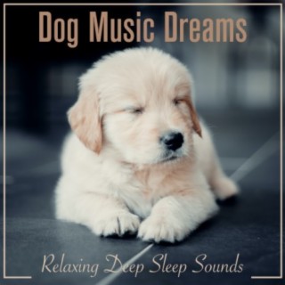 Dog Music Dreams: Relaxing Deep Sleep Sounds