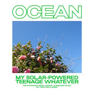 My Solar-Powered Teenage Whatever