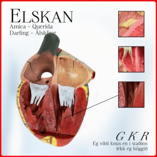 ELSKAN