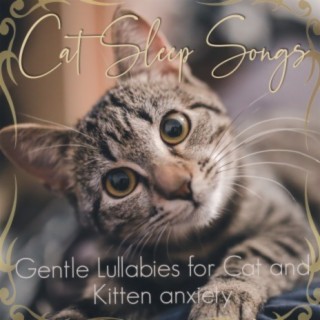 Cat Sleep Songs: Gentle Lullabies for Cat and Kitten anxiety