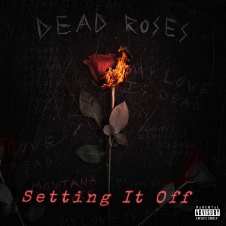 Setting it off | Boomplay Music