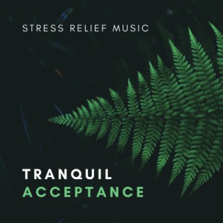 Tranquil Acceptance – Calming Sound Bath for Stress Relief. Sensual Exotic Spa