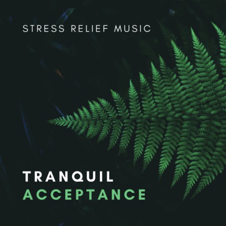 Tranquil Acceptance