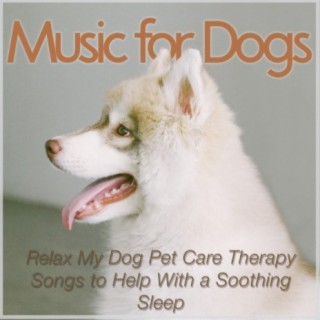 Music for Dogs: Relax My Dog Pet Care Therapy Songs to Help With a Soothing Sleep