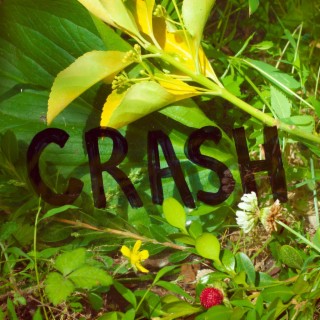 Crash lyrics | Boomplay Music