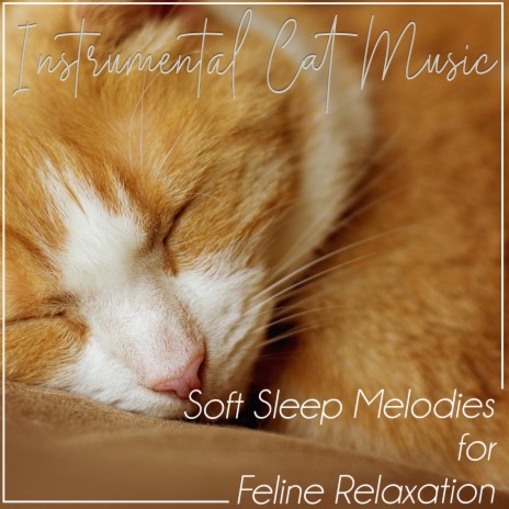 Soft Sounds for Cats ft. Cat Music Dreams & Cat Music Therapy