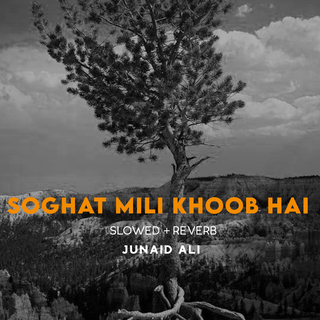 Soghat Mili Khoob Hai Lofi