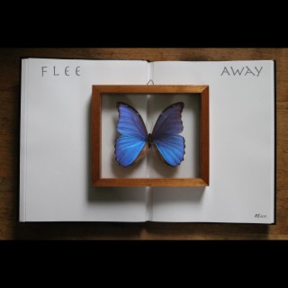 Flee Away lyrics | Boomplay Music