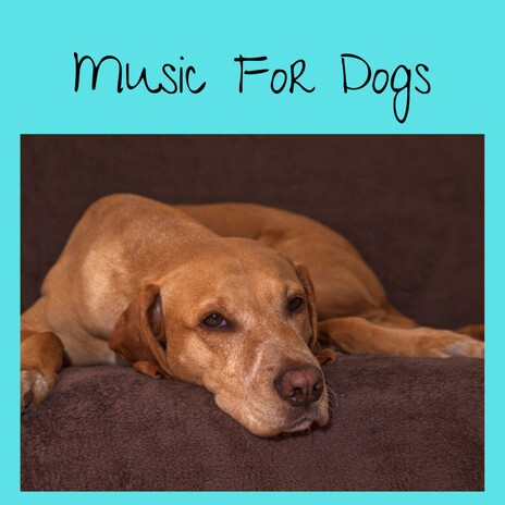 Calm Canine Crescendo ft. Music For Dogs Peace, Relaxing Puppy Music & Calm Pets Music Academy | Boomplay Music