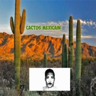 Cactus (feat. Bobflex)