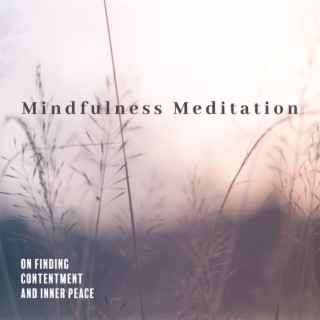 Mindfulness Meditation on Finding Contentment and Inner Peace