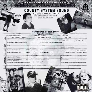 County System Sound