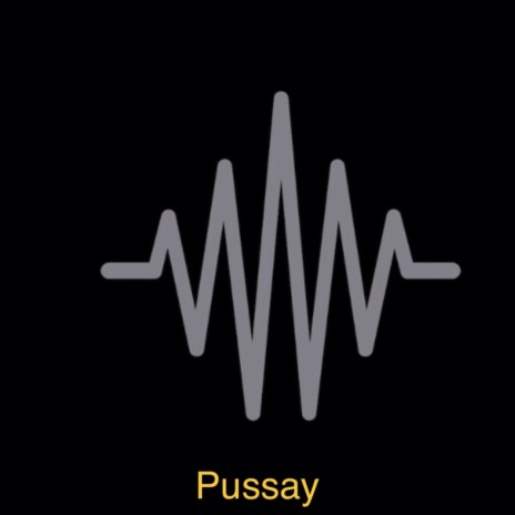Pussay | Boomplay Music