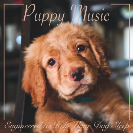 Puppy Love ft. Dog Music & Dog Music Therapy