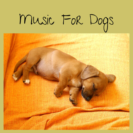 Lulling to Sleep ft. Music For Dogs Peace, Relaxing Puppy Music & Calm Pets Music Academy | Boomplay Music