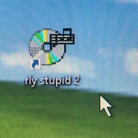 rly stupid 2 | Boomplay Music