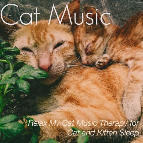 Complete Warmth ft. Cat Music Therapy & RelaxMyCat | Boomplay Music