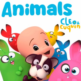 Animals with Cleo and Cuquin