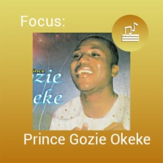 Focus: Prince Gozie Okeke