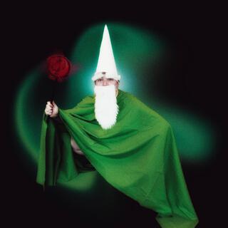 Crawly The Green Wizard Gnome (EDM Remix)