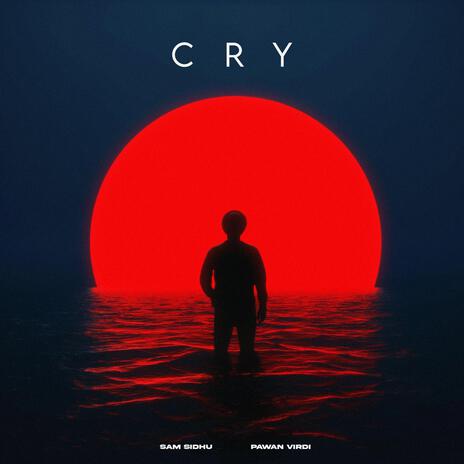 Cry ft. Pawan Virdi | Boomplay Music