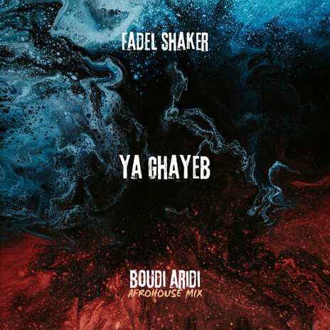 Ya Ghayeb Fadel Shaker (AFROHOUSE MIX) | Boomplay Music