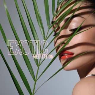 Exotic Meditation: Ambient Lucid Dreaming, Happiness Frequency, Release Negativity, Endorphin Release Music