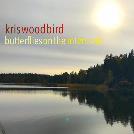 Butterflies on the Interstate | Boomplay Music