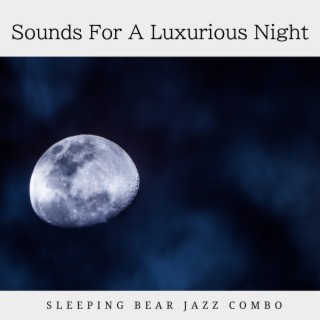 Sounds For A Luxurious Night