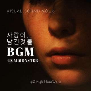 Visual Sound Vol.8 사랑이 남긴것들 BGM