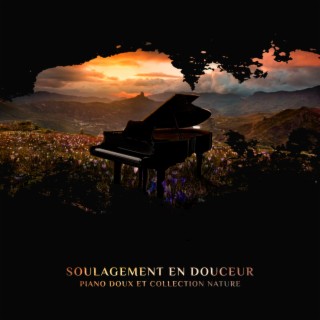 Soulagement en douceur - Piano doux et collection nature: Ambiance relaxante pour méditer, Soulager le stress