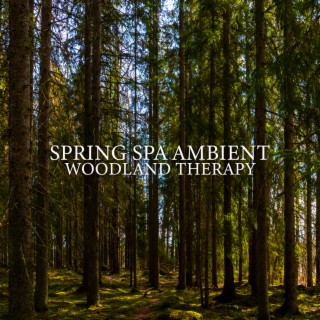 Spring Spa Ambient: Woodland Therapy - Healing Forest Music and Chirping Bird Sounds, Relaxation Away from the City Noise