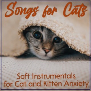 Songs for Cats: Soft Instrumentals for Cat and Kitten Anxiety