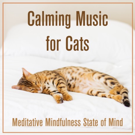 Sleeping Music ft. Cat Music Dreams & RelaxMyCat | Boomplay Music