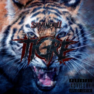 Tigre