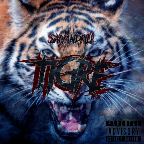 Tigre | Boomplay Music