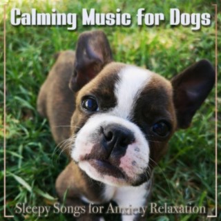 Calming Music for Dogs: Sleepy Songs for Anxiety Relaxation