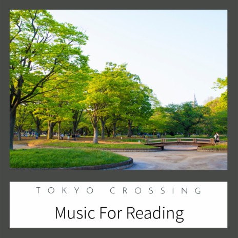 The Book and the Park | Boomplay Music