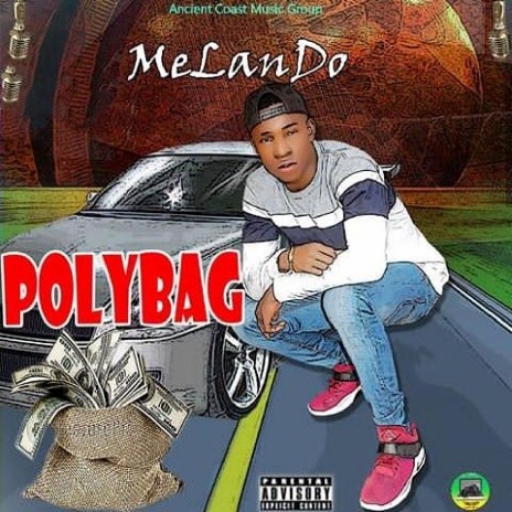 Polybag | Boomplay Music