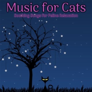 Music For Cats: Soothing Songs for Feline Relaxation