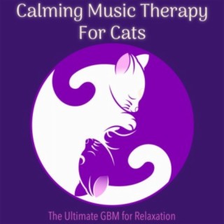 Calming Music Therapy for Cats: The ultimate GBM for Relaxation