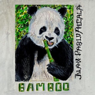 Bamboo